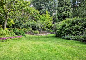 Optimiser l'expérience du jardin à Cercy-la-Tour